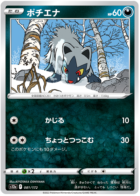 Poochyena 081/172- s12a Pokémon Japanese VSTAR Universe- US SELLER NM/M